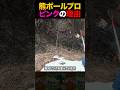 【ピンクの理由】熊撃退ポールプロモデル