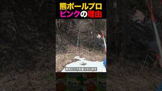 【ピンクの理由】熊撃退ポールプロモデル