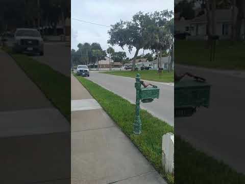 City of Edgewater Florida infrastructure crisis.