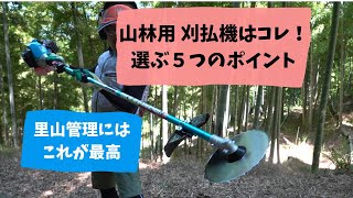 刈払機オススメ　里山管理用で選ぶ５つのポイント