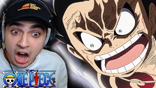 LUFFY VS DOFFY FINALE! One Piece REACTION Episode 733