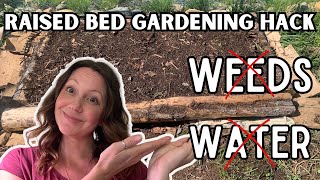 No Dig, No Water, No Weeding - Lazy Gardening Raised Bed