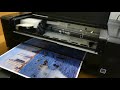 Epson L310 photo print test (4k)
