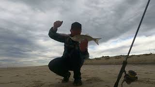 THE FISH WERE MENTAL! Fishing the Gold Coast Spit with lures