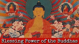 Ep233: Blessing Power of the Buddhas - Naomi Levine 4