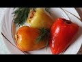 Как приготовить Перец фаршированный  мясом и рисом рецепт