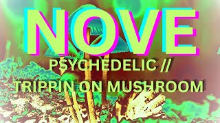 [NOVE] - PSYCHEDELIC TRIPPIN' ON SHROOMS // [OFFICIAL VISUALS]