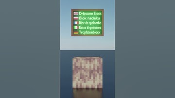 Minecraft in different languages #minecraft #animation #blender