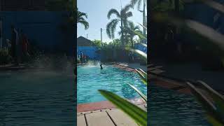 Santri Salto di kolam renang #santri #pondokpesantren #santrialihsanmadiun