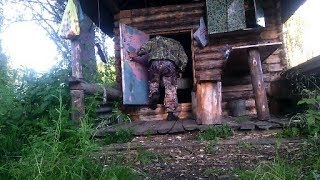 ОДИН НА РЕКЕ\ НОЧЬ В ТАЕЖНОЙ ИЗБЕ\ ДВУХ ДНЕВНЫЙ СПЛАВ\ РЫБАЛКА НА СПИННИНГ! ОДИН НА РЕКЕ\ НОЧЬ В ТАЕЖНОЙ ИЗБЕ\ ДВУХ ДНЕВНЫЙ СПЛАВ\ РЫБАЛКА НА СПИННИНГ!