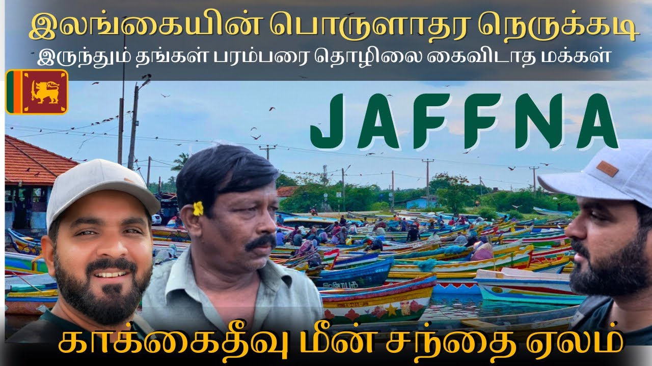 Jaffna kaakkai theevu fish market bidding யாழ்ப்பாணம் காக்கை தீவு மீன் சந்தை ஏலம்