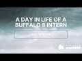 A day in the life of a buffalo 8 intern full version 2022  short form  informational