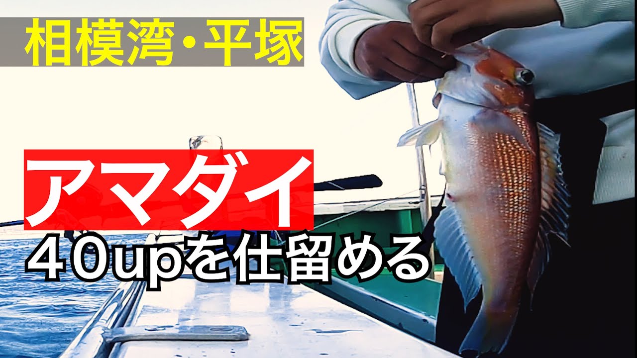 【相模湾アマダイ】 釣果アップにつなげる方法　＠平塚・庄三郎丸