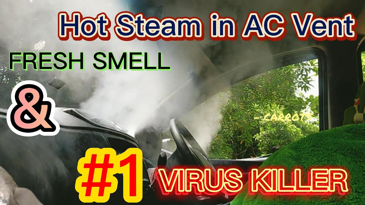 #1 VIRUS KILLER FOUND for car interior