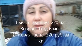 Разделка туши бычка Разделка туши бычка