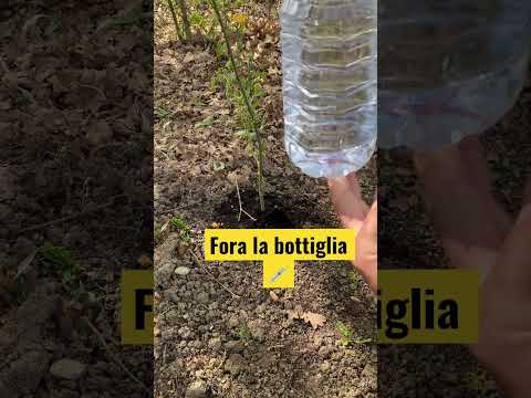 Video: Come realizzare uno spruzzatore per annaffiare il giardino con le tue mani