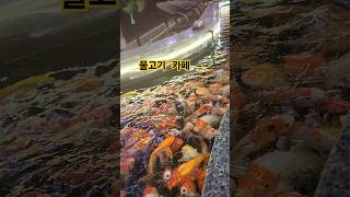 lưu giữ kỷ niệm2 베트남에서 있었던 추억2 #베트남 #외갓집 #trending #snow #shortvideo