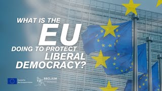 What is the EU doing to protect LIBERAL DEMOCRACY? | Luis Bouza