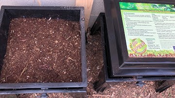 Worm Factory 360 Setup