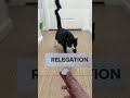 Dino predicts the proper punishment for Man City 😼