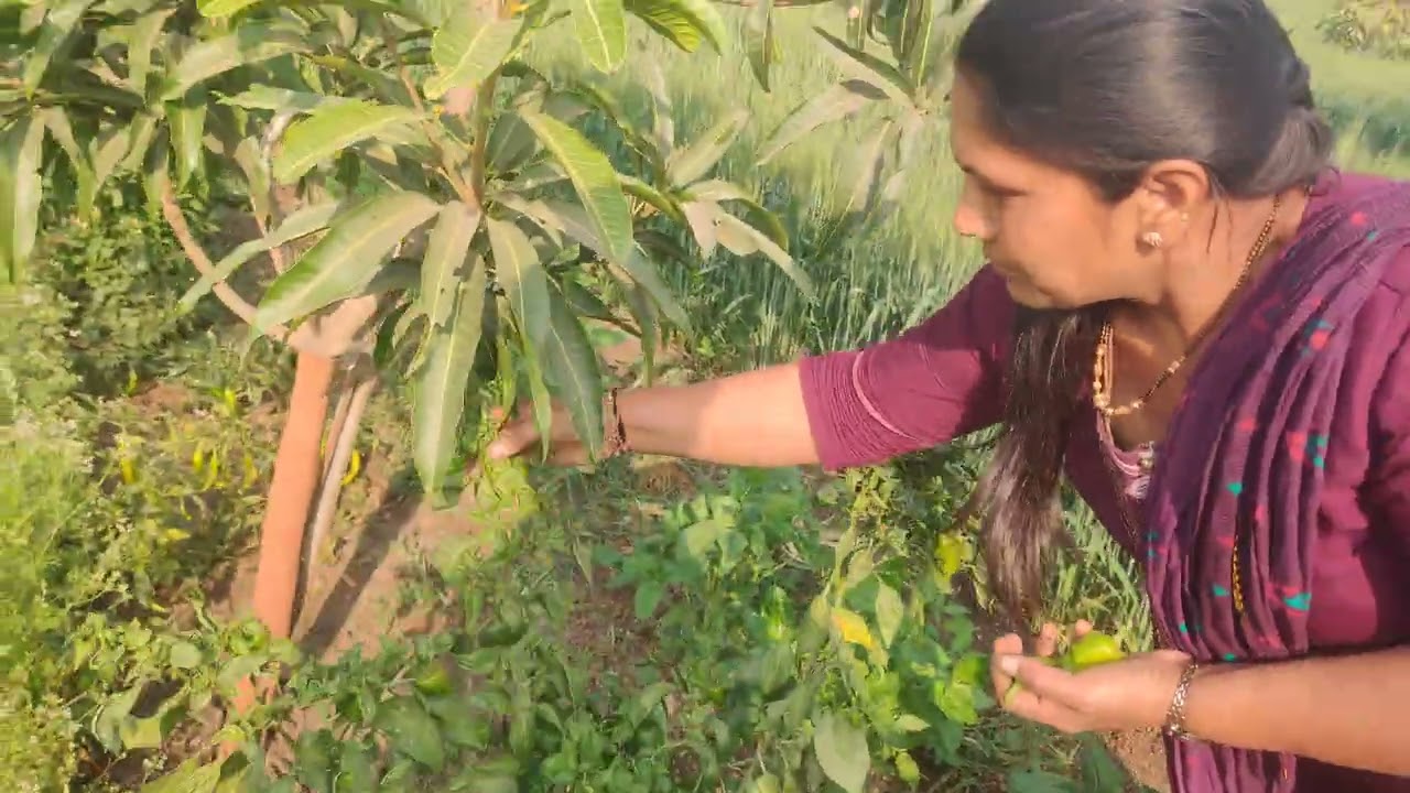 ફાર્મ હાઉસ ની મુલાકાત 