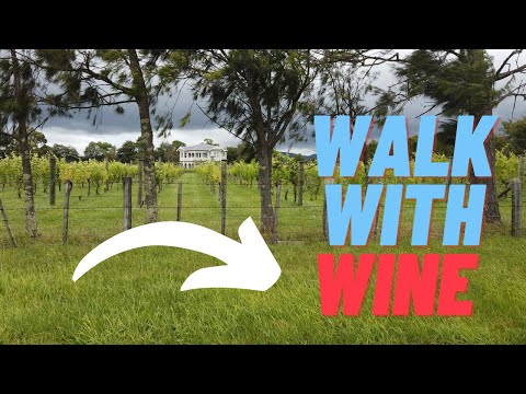 Martinborough NZ   | A walk in the Vineyards