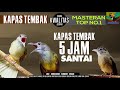 Masteran Suara Burung Kapas Tembak Gacor Pilihan Juri Senasional Durasi Panjang #kapastembak