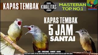 Masteran Suara Burung Kapas Tembak Gacor Pilihan Juri Senasional Durasi Panjang #kapastembak