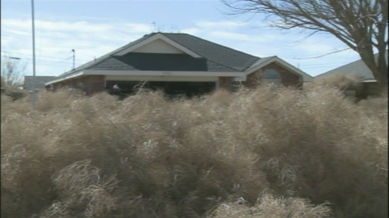 Video Shows House Buried By 'Towering Walls of Tumbleweeds