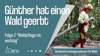 Günther Hat Einen Wald Geerbt Folge 2 Waldpflege Ist Wichtig