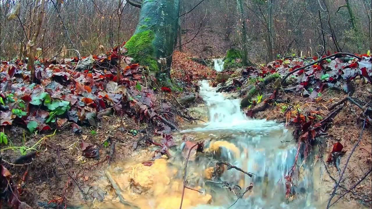 Tranquil Vibes 30 Minutes of Relaxing Ambient Music for Focus, Study