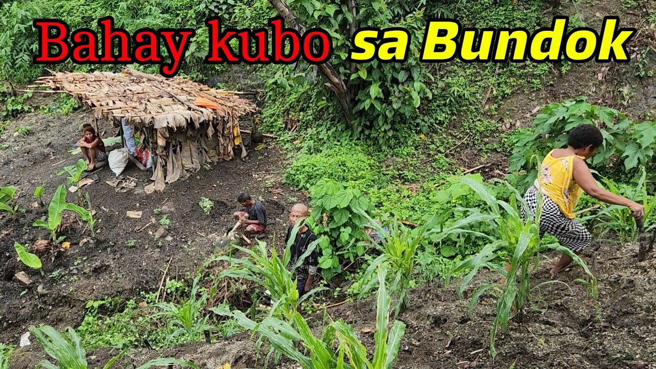 NAKAKATUWA SIPAG NG MGA  KATUTUBONG AETA SA BUNDOK DAMING TANIM