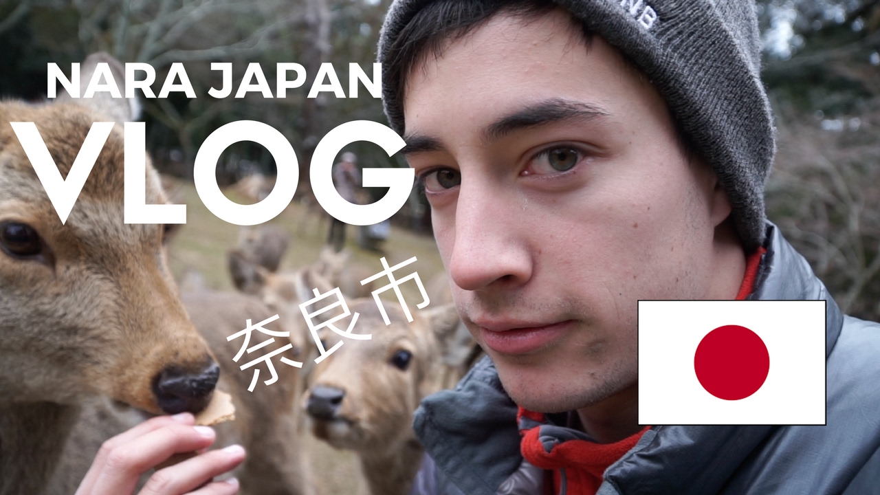 Crazy Deer of Nara, Japan!! (Kyoto, Japan Vlog 3) | Luke Martin