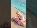 Unexpected friendship