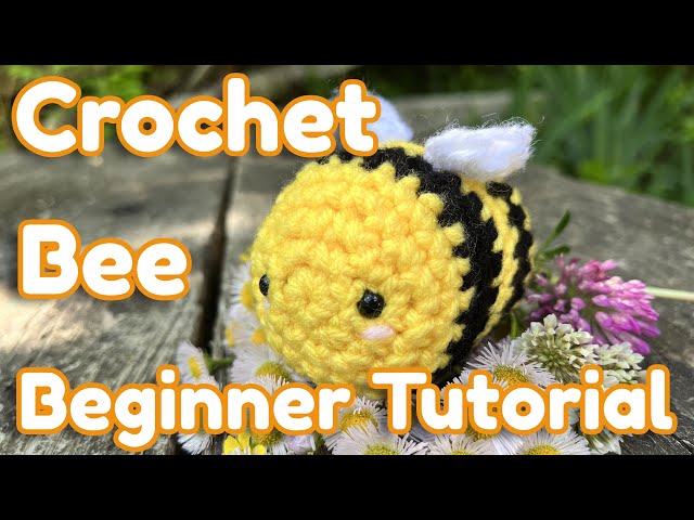 Crochet Kit For Beginners Beginner Rainbow Bee Crochet Kit - Temu