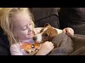Cute puppies falling asleep in little girl arms
