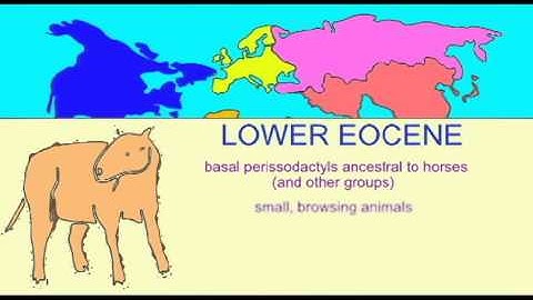 PL JOURNAL 15: EVALUATING HORSE FOSSILS USING EVOLUTION, CREATION, DESIGN MODELS RESPONSE.avi