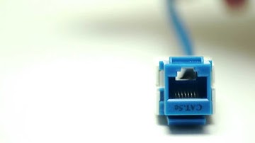 Cat5e Dual Row Jacks Overview #15-165BLOVV3