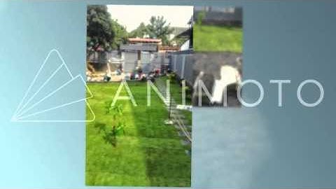 TRỒNG CỎ NHUNG NHẬT BIỆT THỰ SÂN VƯỜN