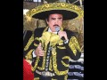 Vicente Fernández - Sufriendo a solas