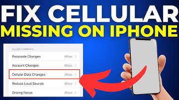 Cellular Option Missing in iPhone Settings Fix (2025)