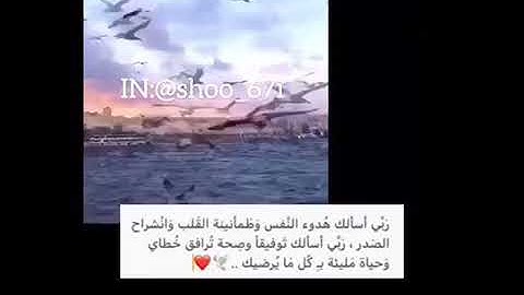 تلاوه خاشعه هادئه مريحه طمأنينه