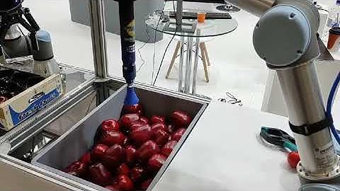 Automated picking and placement of apples
