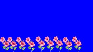 Blue screen flower effect video || flower effect video || natural flower effect video