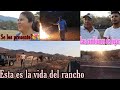 vamos a cambiar las vacas🐮 ➕Les presento al novio de viví❓❓😬el asi es feliz😃