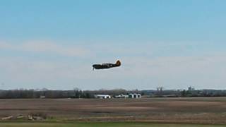 Fagan Fighters P40 flyby