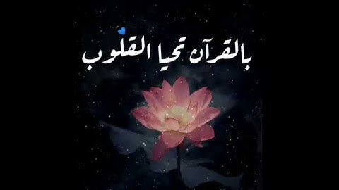 قرآن كريم بصوت رعد الكردي ♥🔊 أجمل حالات واتس اب دينية مقاطع دينية قصيرة مقاطع انستقرام دينية