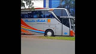 BUS ROSALIA INDAH _ EXECUTIVE PLUS  MILLENIAL BUS 