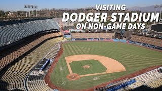 dodgers top deck store