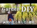 【庭DIY】モッコウバラが咲く庭で｜看板・装飾・ガーデンゲート